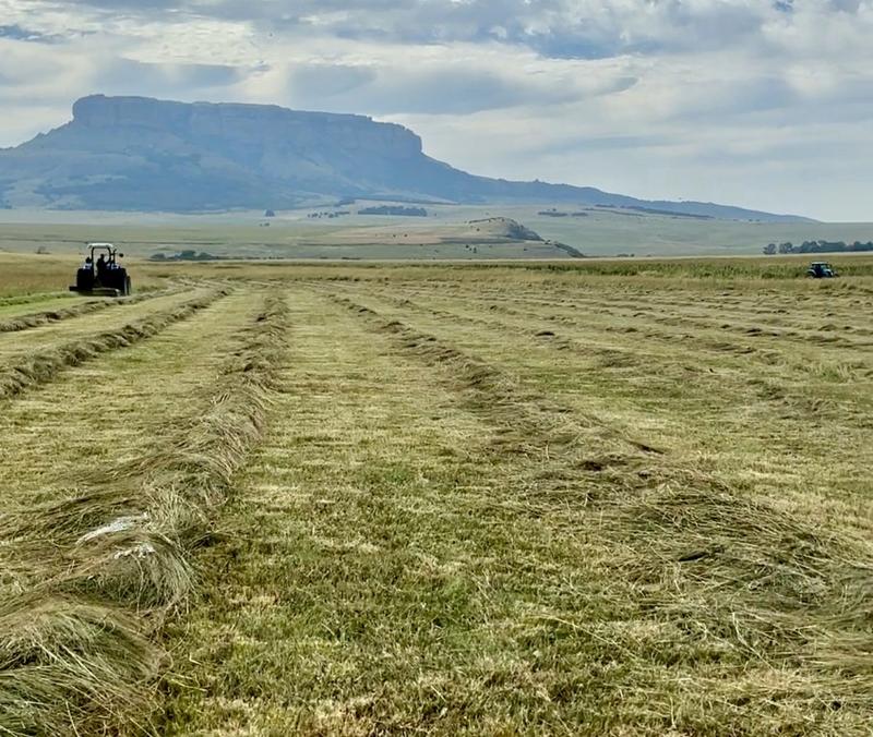 0 Bedroom Property for Sale in Harrismith Free State